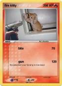 fire kitty