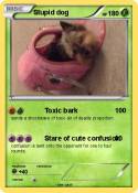 Stupid dog