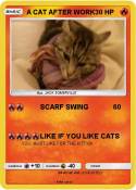 A CAT AFTER