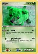 puppy