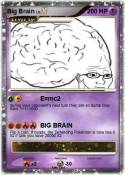 Big Brain
