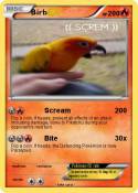Birb