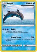 Dolphin