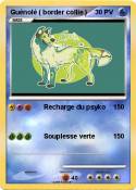 Guénolé ( borde