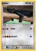 panther