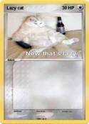 Lazy cat