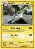 fat kitty