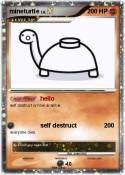 mineturtle