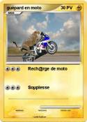 guépard en moto