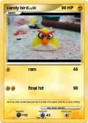 candy bird