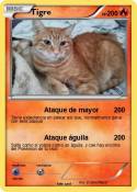 Tigre