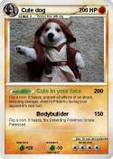 Cute dog