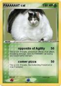 FAAAAAAT cat