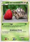 turtle and star