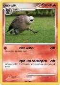 duck