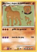 Big One ( dogue