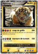 tigreloup
