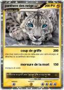panthere des