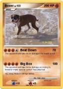 Boxer