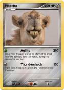 camel