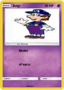 Suigi