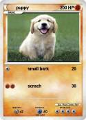 puppy