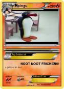 pingu