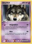 Grey Wolf