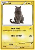 cat