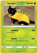 taco boi