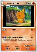 Nate's Torchic