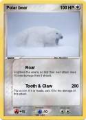 Polar bear