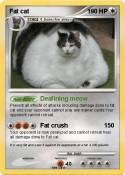 Fat cat