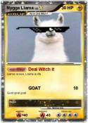 Nygga Llama