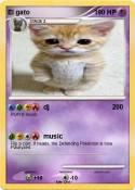El gato