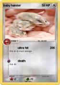 baby hamter
