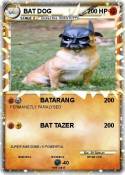 BAT DOG