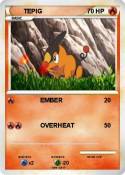 TEPIG