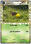 pappiloon