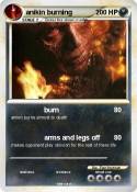 anikin burning