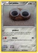 pet pebble