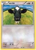 vacche