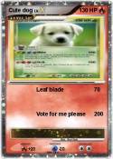Cute dog