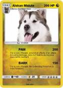 Alskan Malute