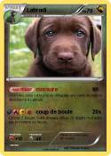Labradi