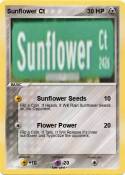 Sunflower Ct
