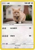 cat