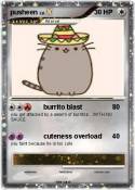 pusheen