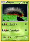 caterpillar