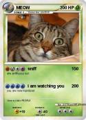 MEOW